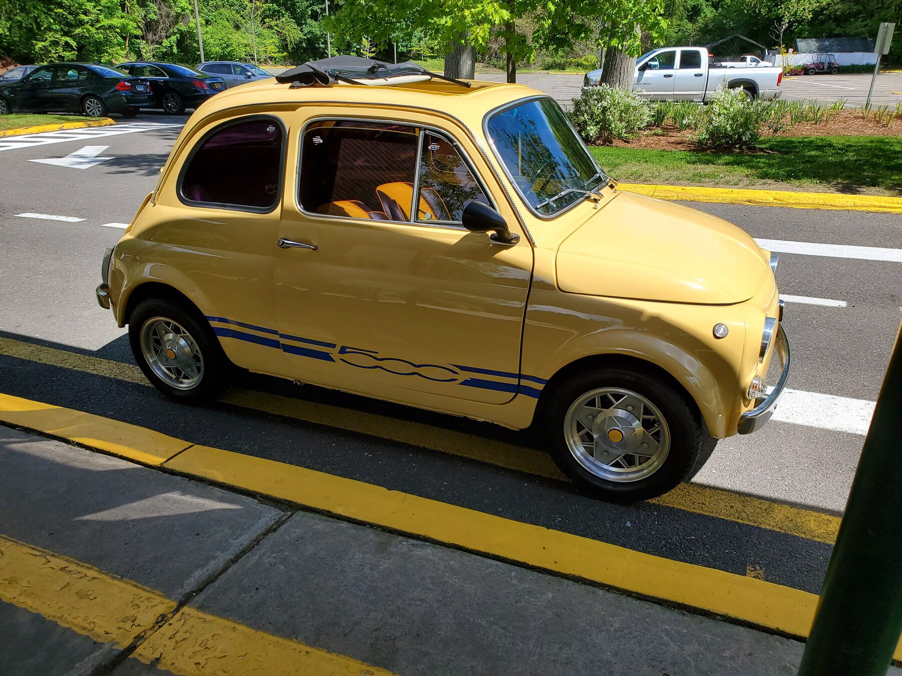 Profile view
